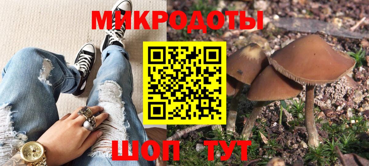 Псилоцибиновые грибы GOLDEN TEACHER  цены   Заринск  Псилоцибиновые грибы ЛСД  Вход с VPN 